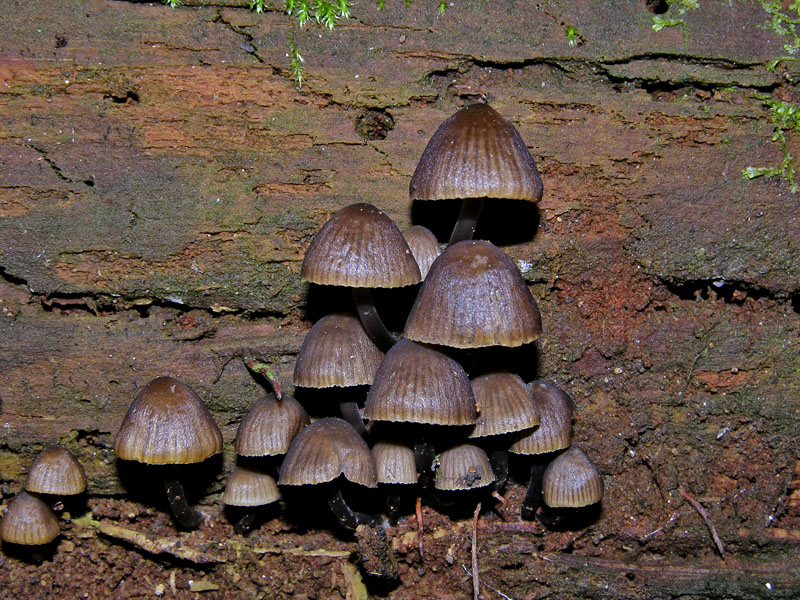 Ritrovamenti  del 21 marzo.